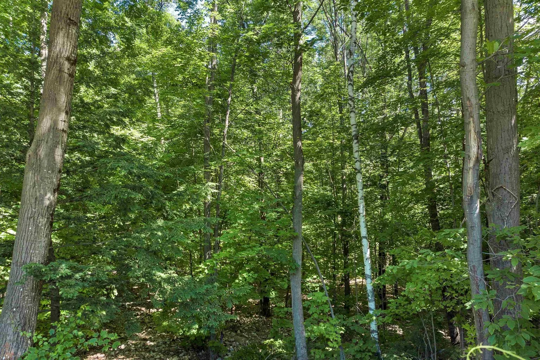 Photo of Unit 12 at US Route 302