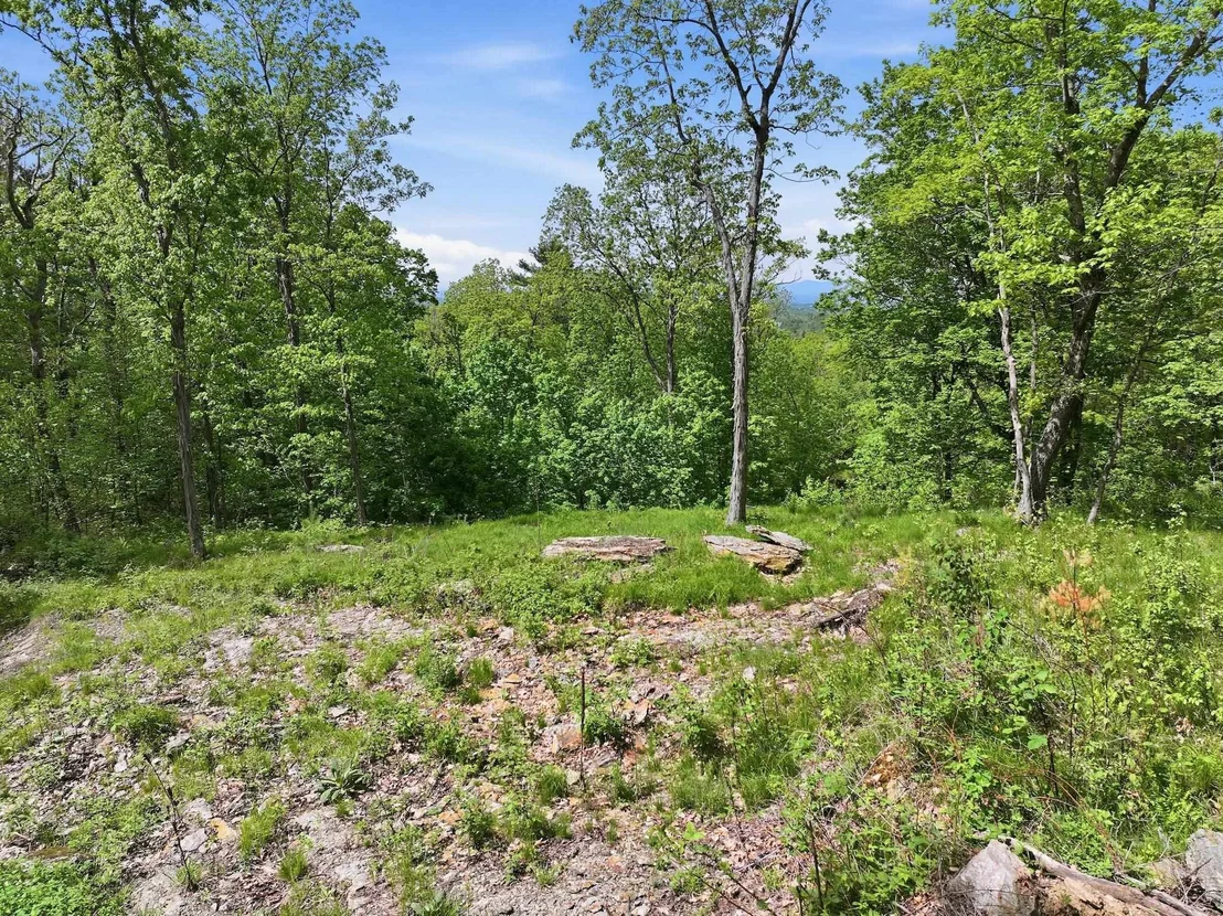 Photo of 189 Shagbark