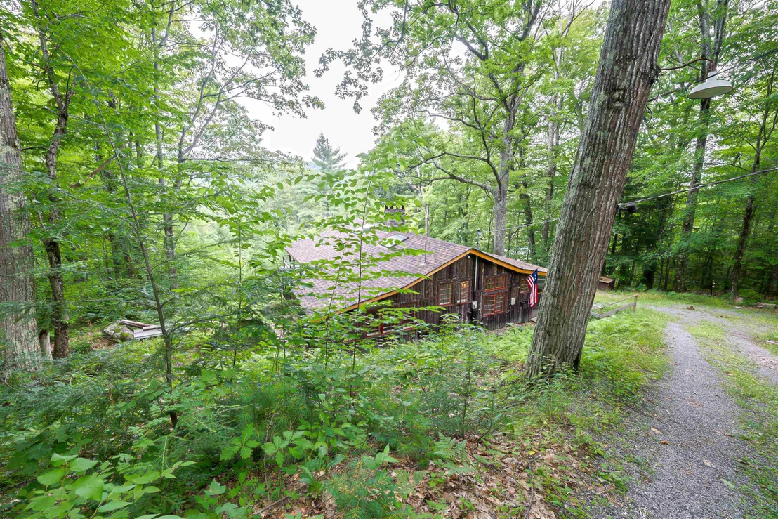 Photo of 66 White Birch