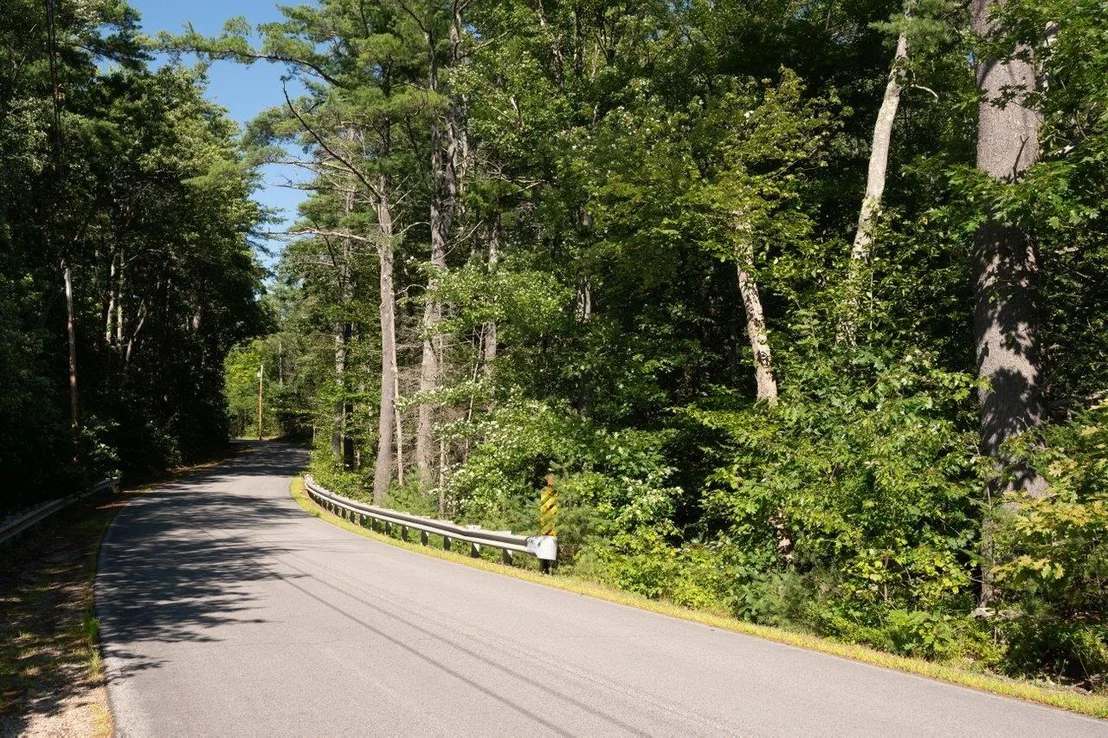 Photo of M 17 L 20&21 Ridge