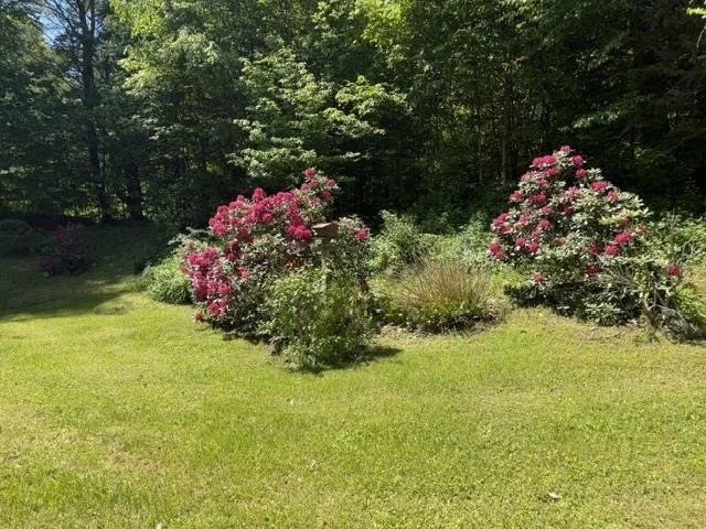 Photo of 3333 West River