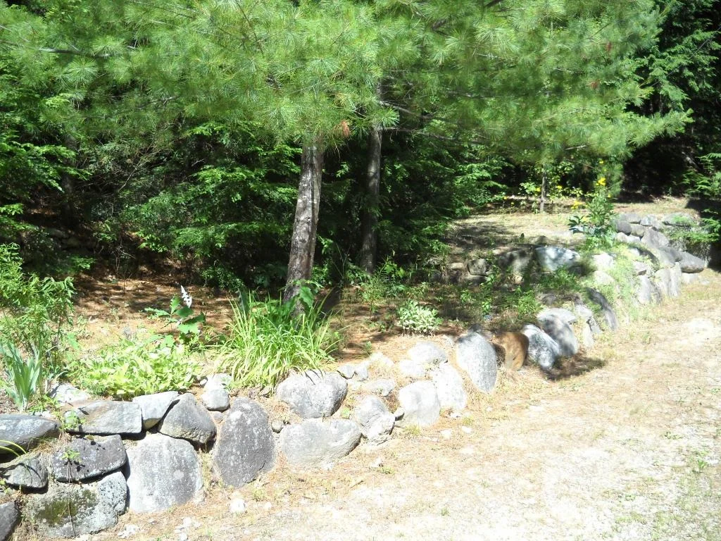 Photo of 29 Oak