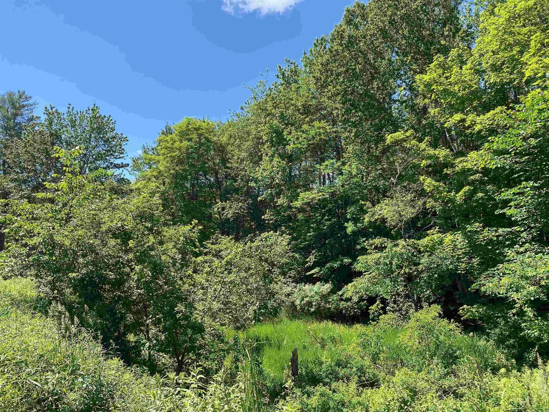 Photo of 18 Catamount
