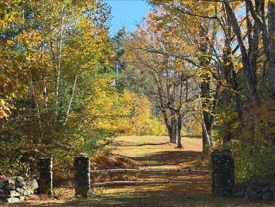 Photo of 218 Black Mountain