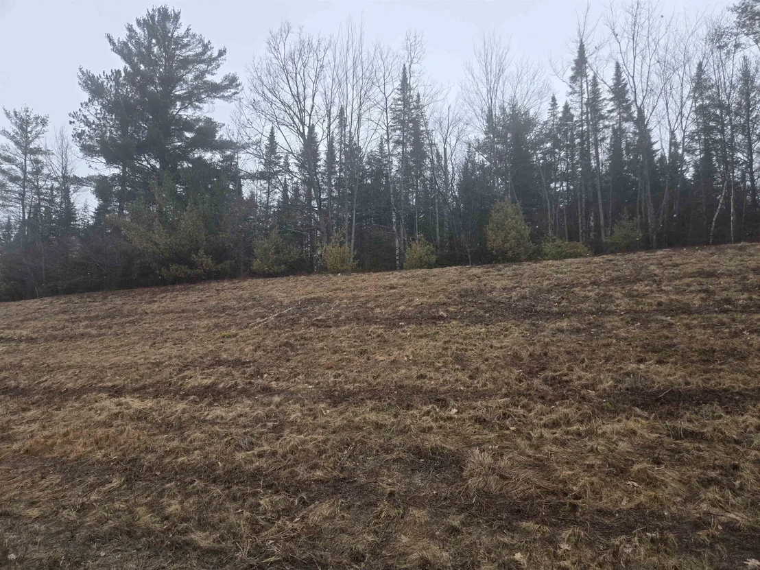Photo of 00 Whitefield