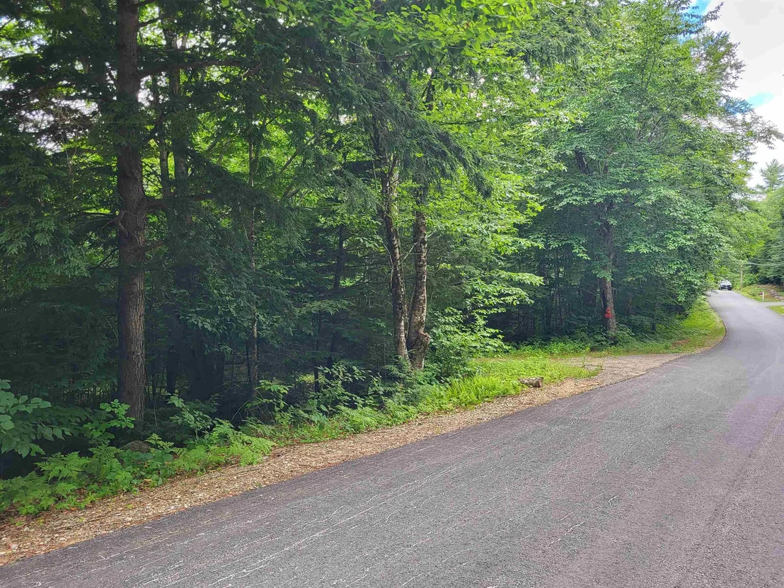 Photo of Lot 2 Bear Mountain