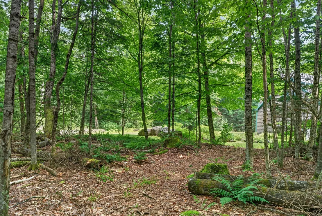 Photo of 110 Toad Hill