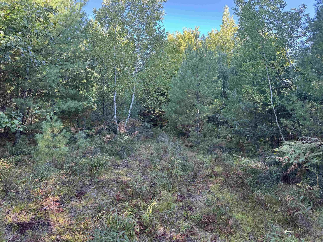 Photo of 40 Granite
