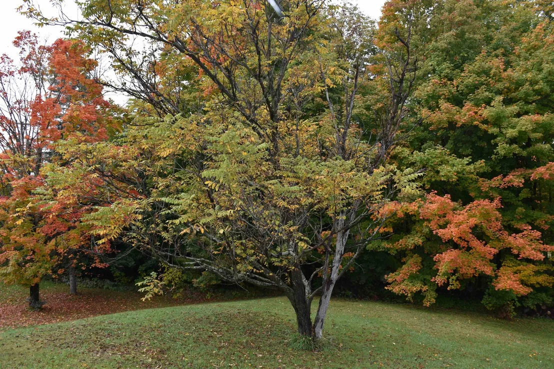 Photo of 177 Websterville