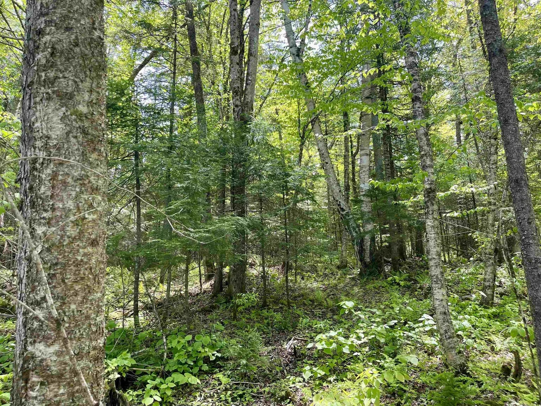 Photo of 00 Mountain