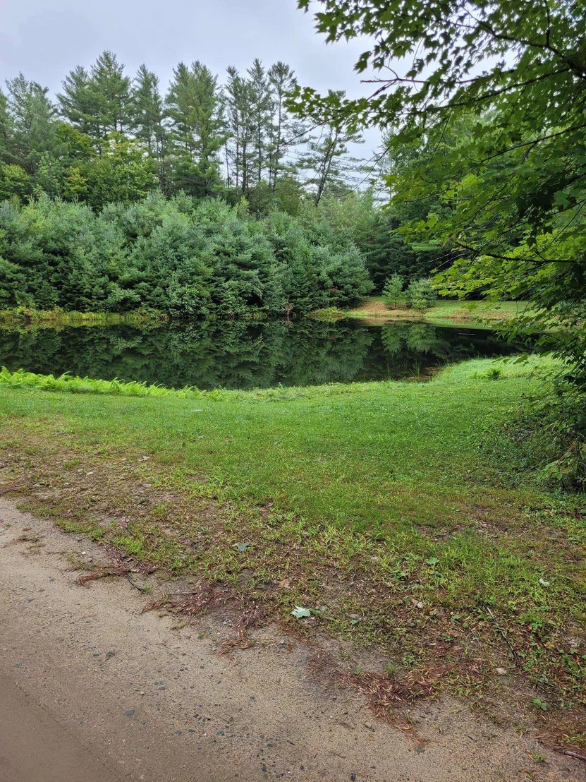 Photo of 00 Covered Bridge