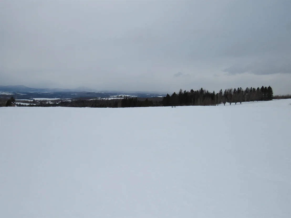 Photo of 2103 Herrick