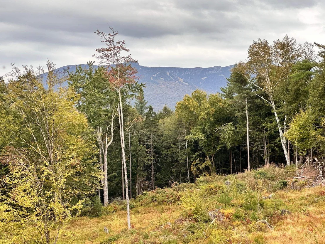 Photo of Unit LOT3 at 2364 mountain