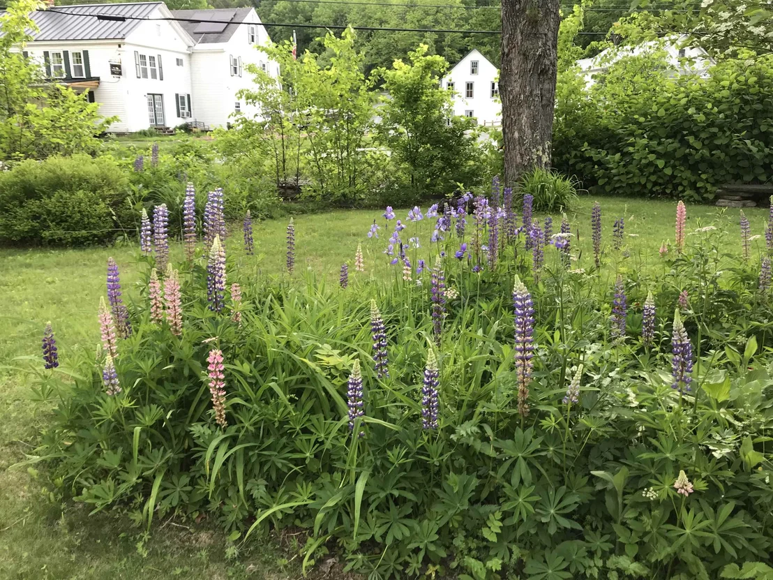 Photo of 171 Route 112