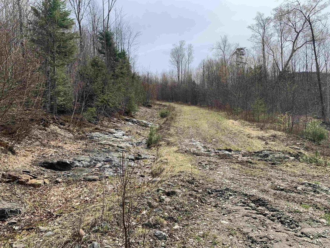 Photo of Lot 22.4 Washburn