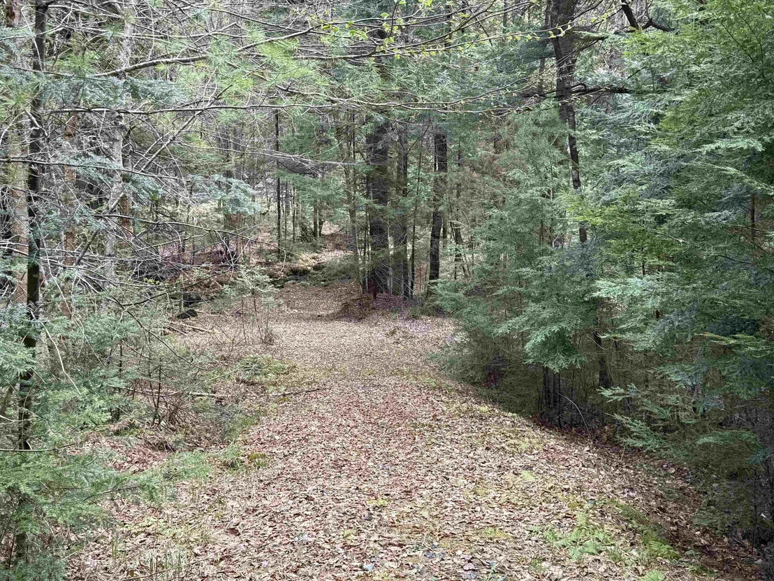 Photo of 37 Maple