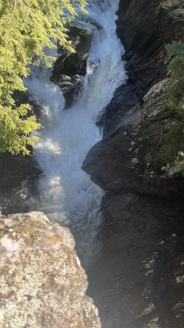 Photo of 1295 River
