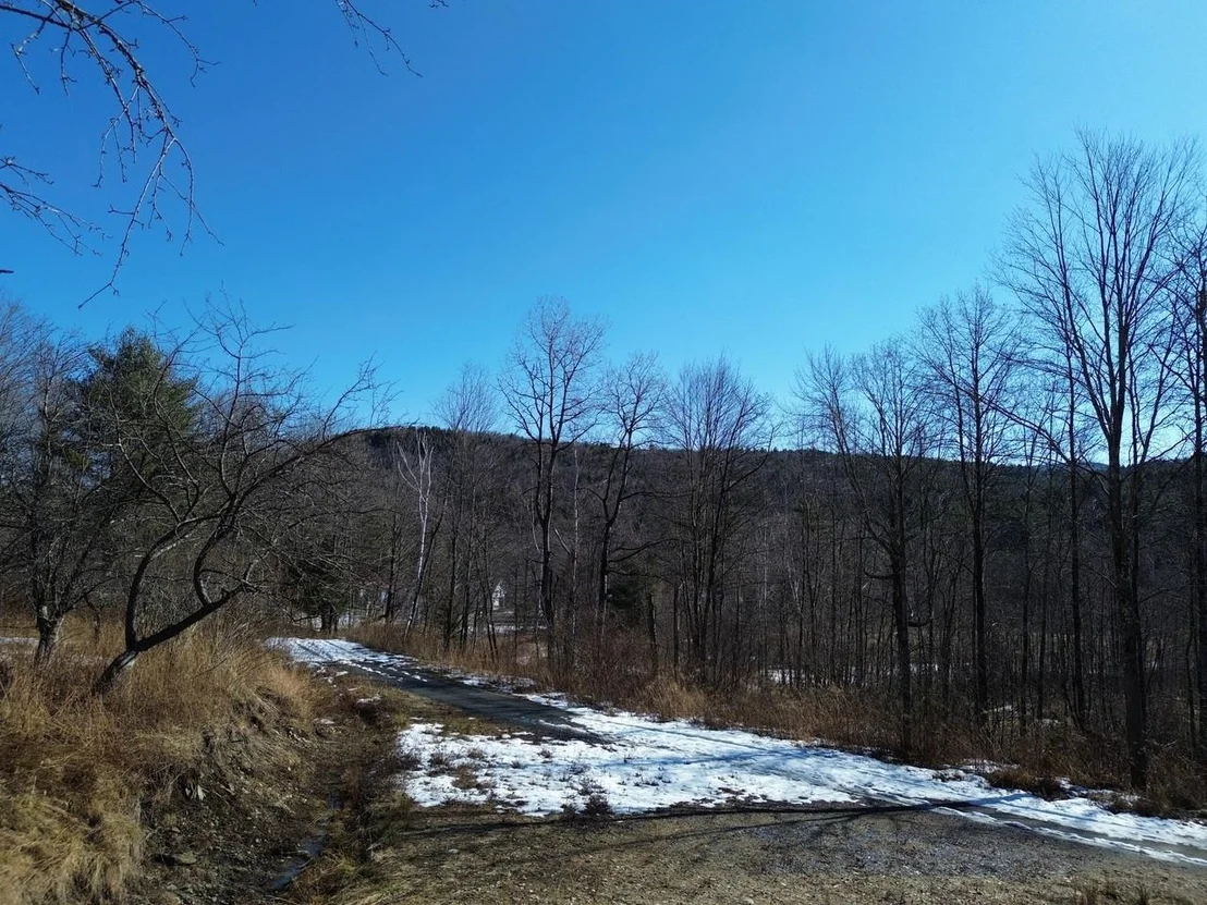 Photo of Unit 3 at 00 Bent Birch