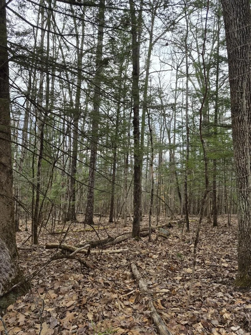 Photo of Unit 1 at Pond