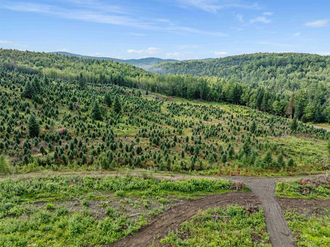 Photo of - Capon Brook