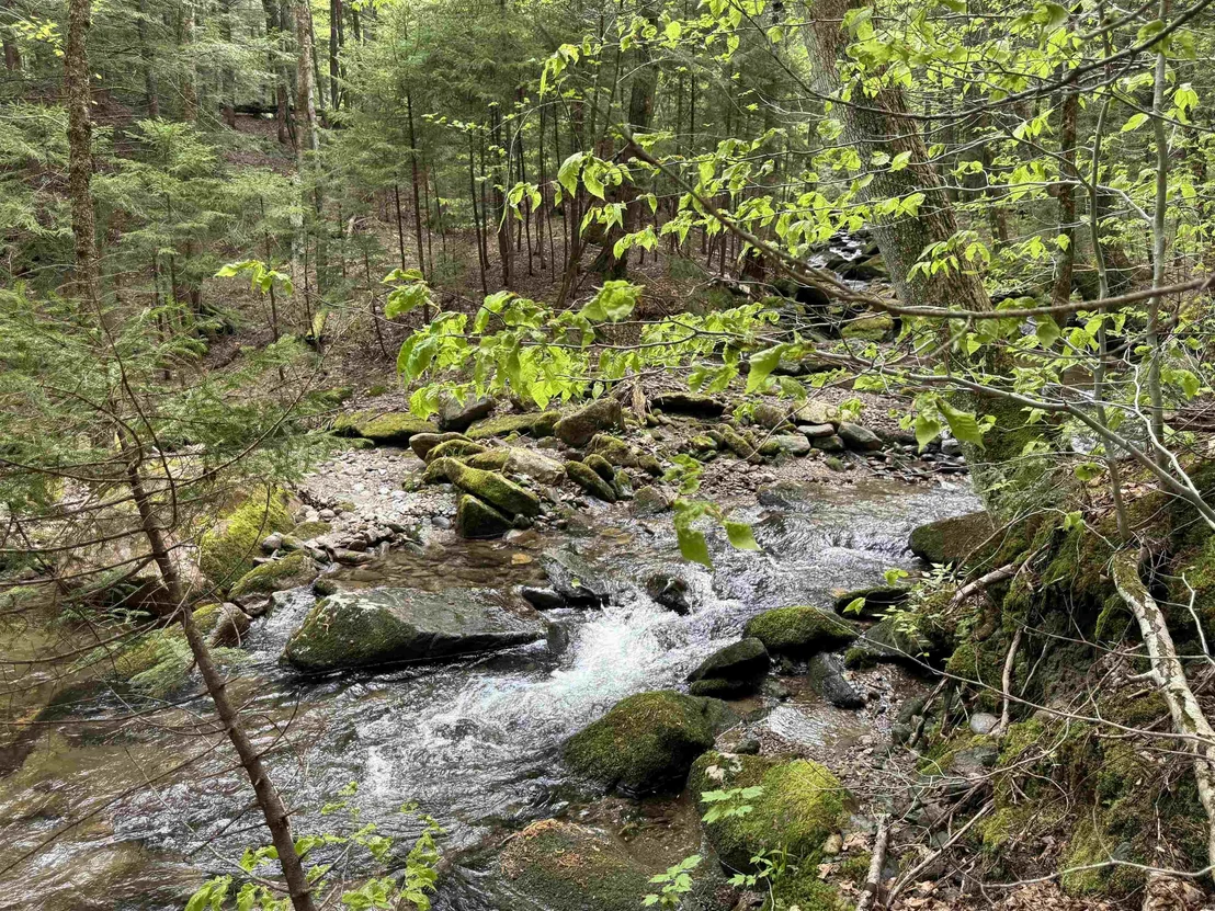 Photo of 93 Mirror Lake