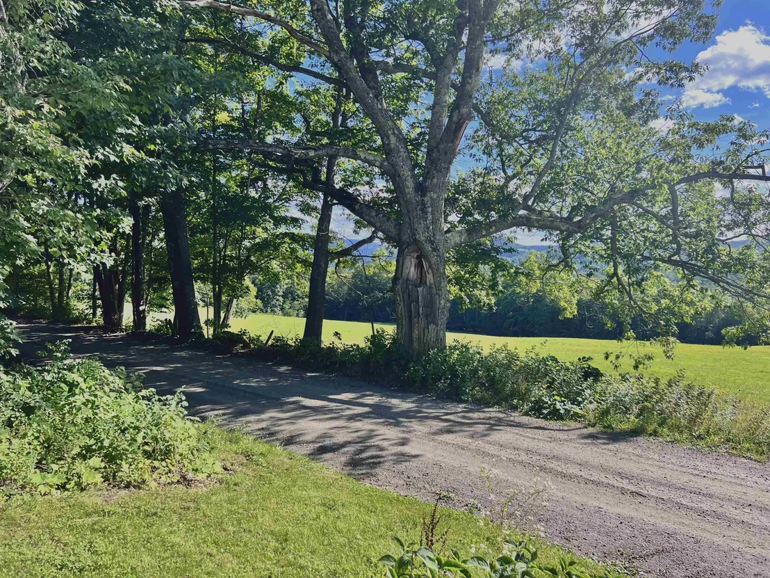 Photo of 575 Somers