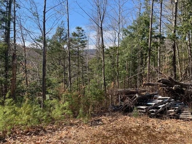 Photo of TBD VT Rt 100
