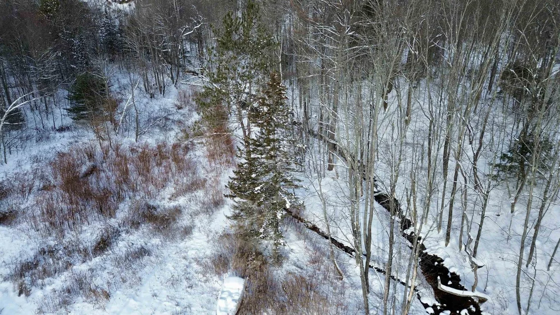 Photo of 142 Brooks