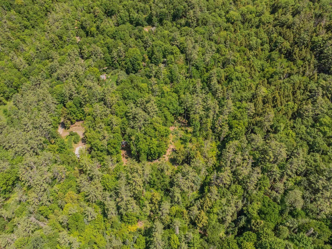 Photo of 64 Beaver Pond