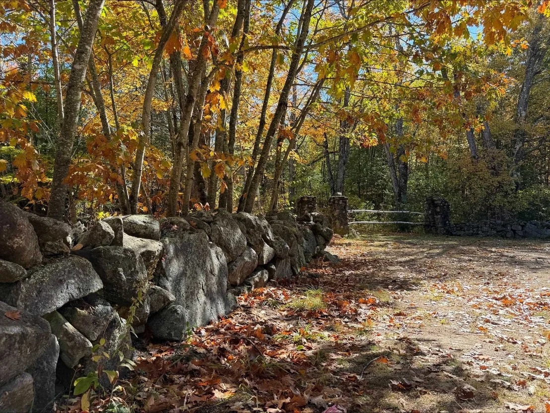 Photo of 218 Black Mountain