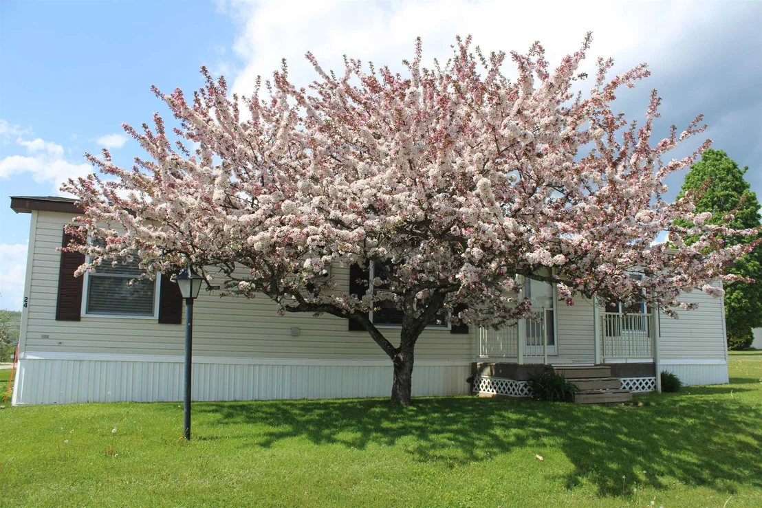 Photo of 24 Ridgeview