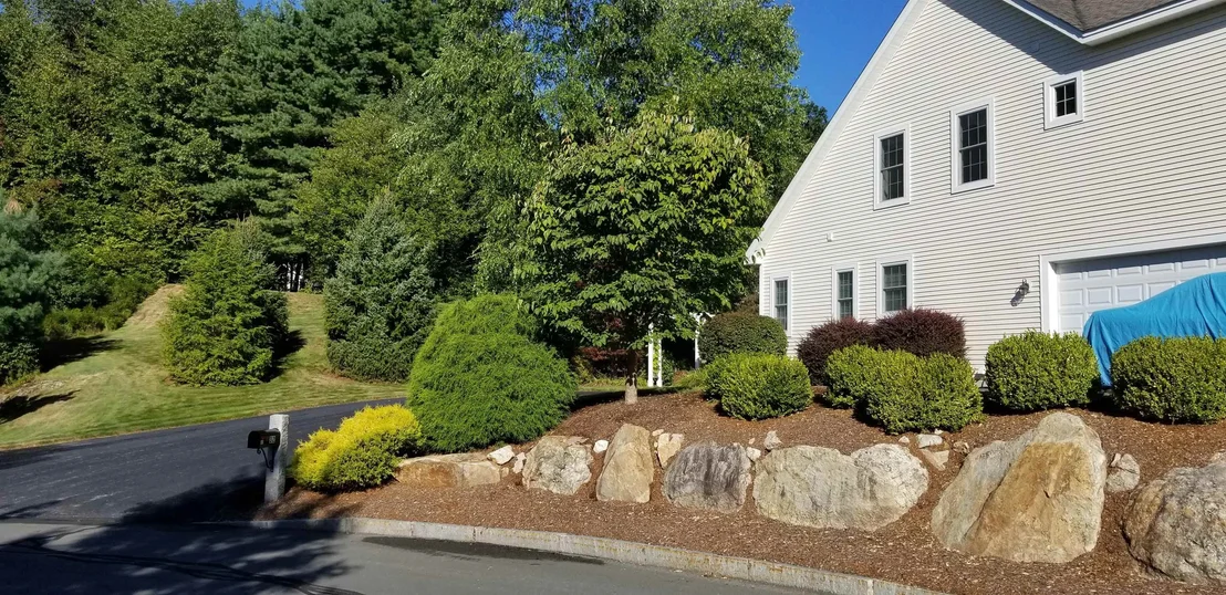 Photo of 32 White Pine