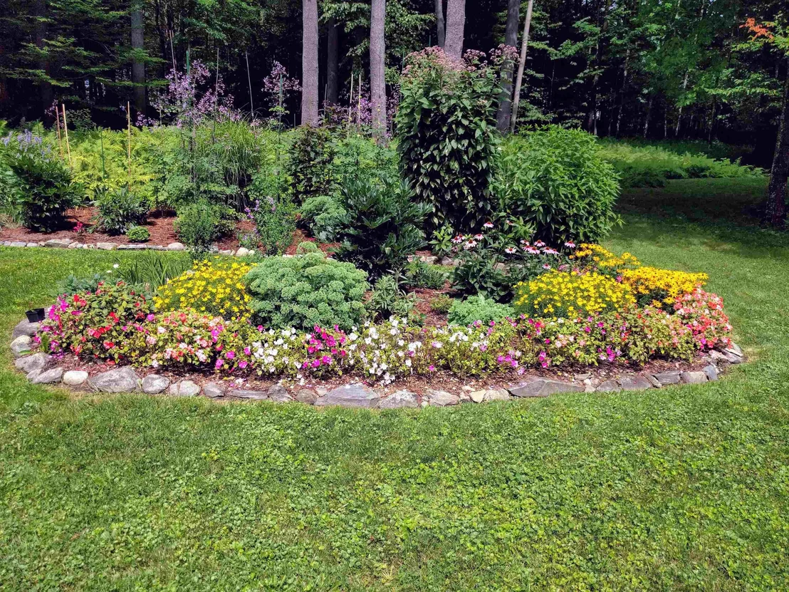 Photo of 455 Hawk Pine