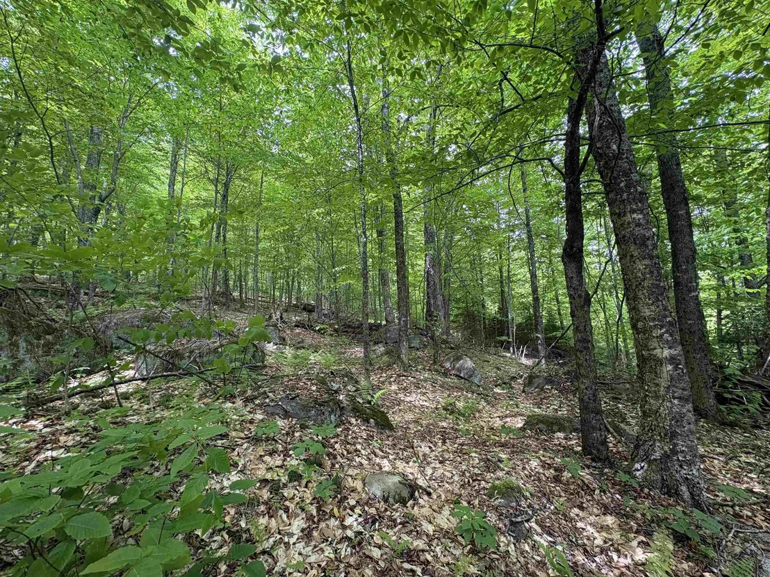 Photo of 0 Old Pond Hill