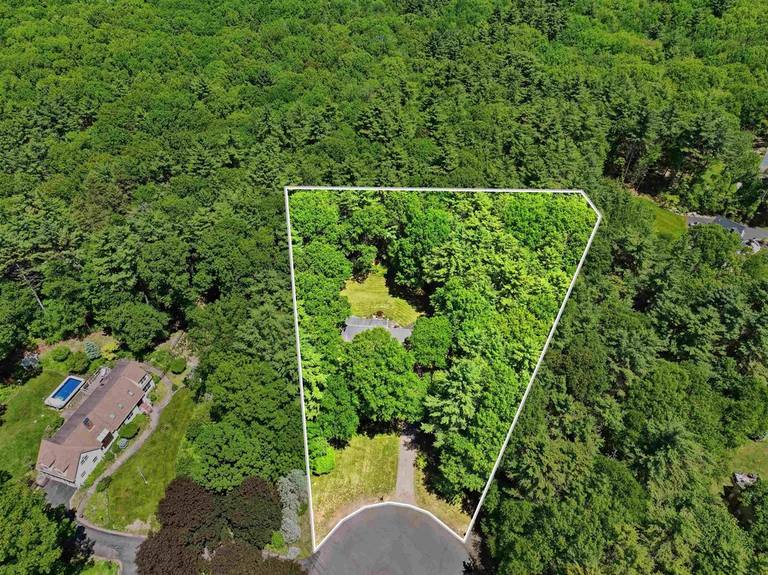 Photo of 10 Pine