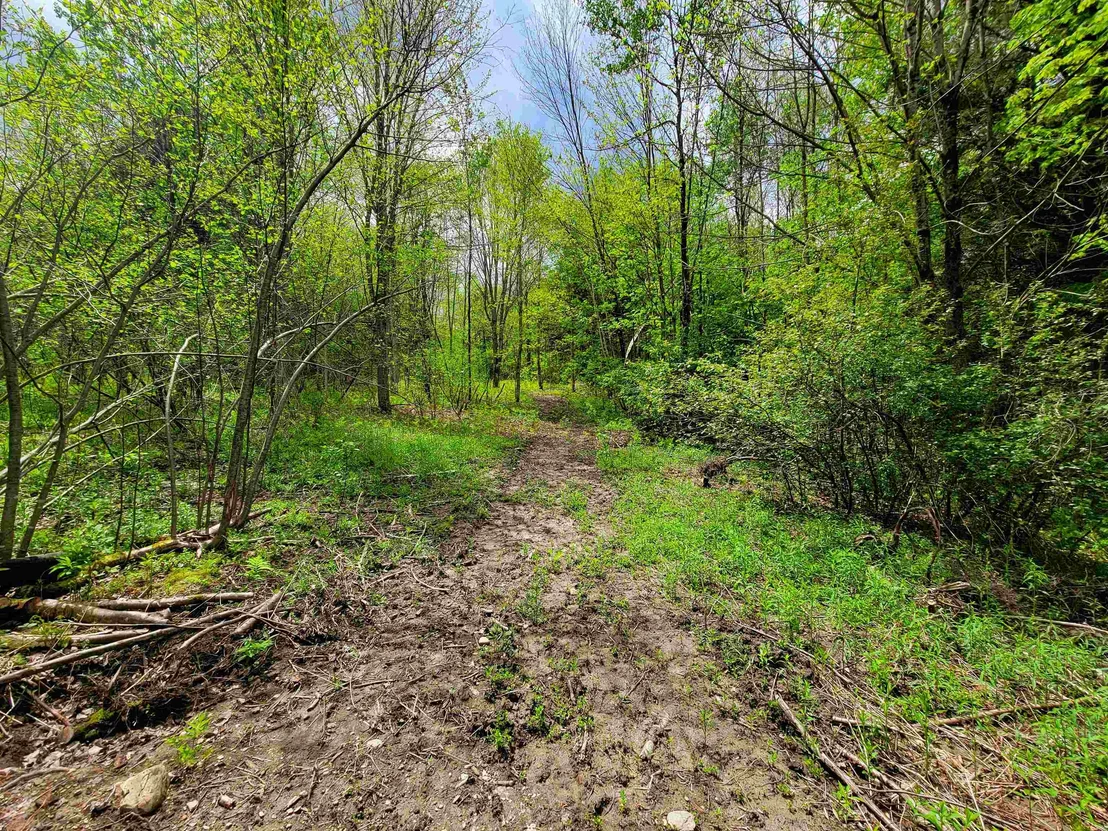 Photo of 167 High Meadow