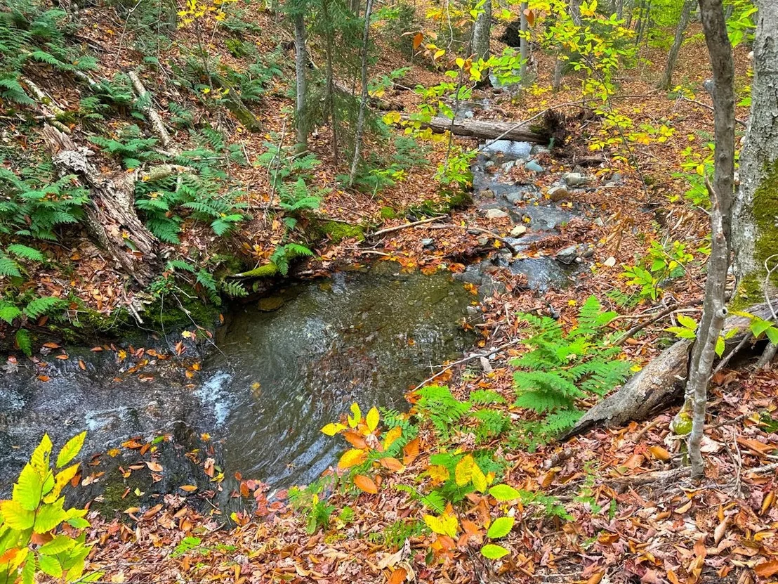 Photo of 0 Cider Mountain