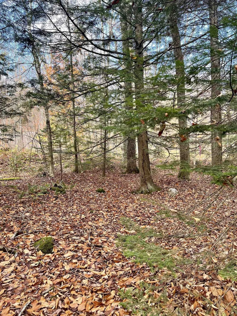 Photo of Unit LOT20R at 0 Foothills