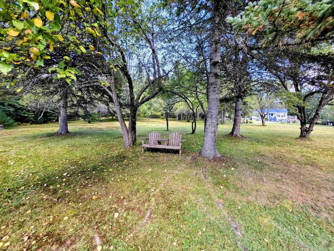 Photo of 255 Gray