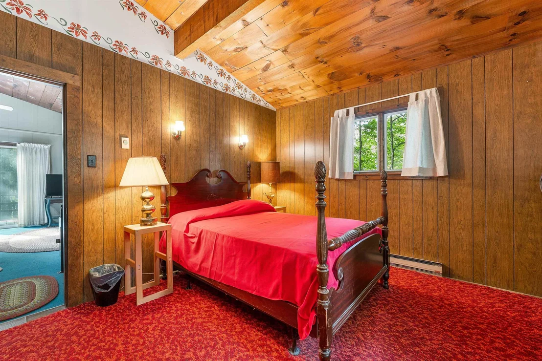 Photo of 49 Kings Pine