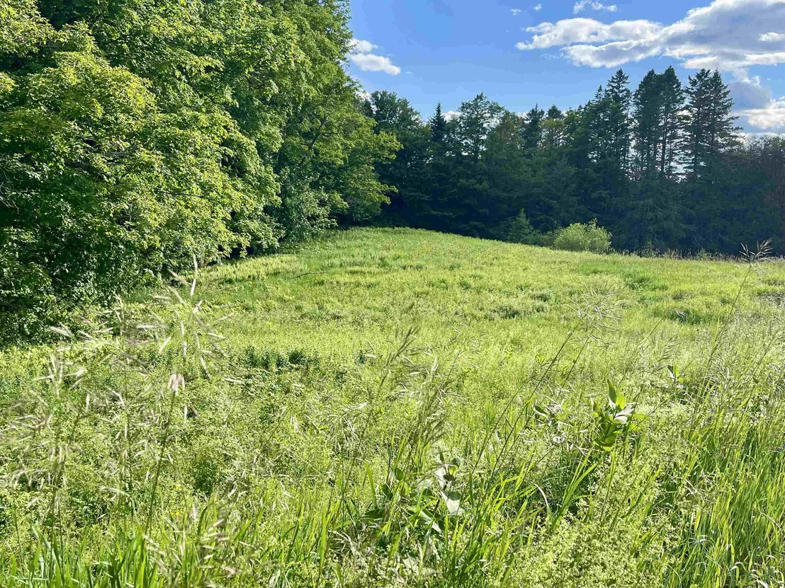 Photo of 00 Old Farm