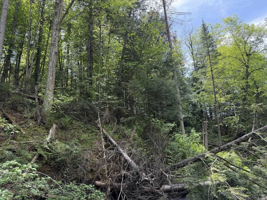 Photo of 2278 Valley
