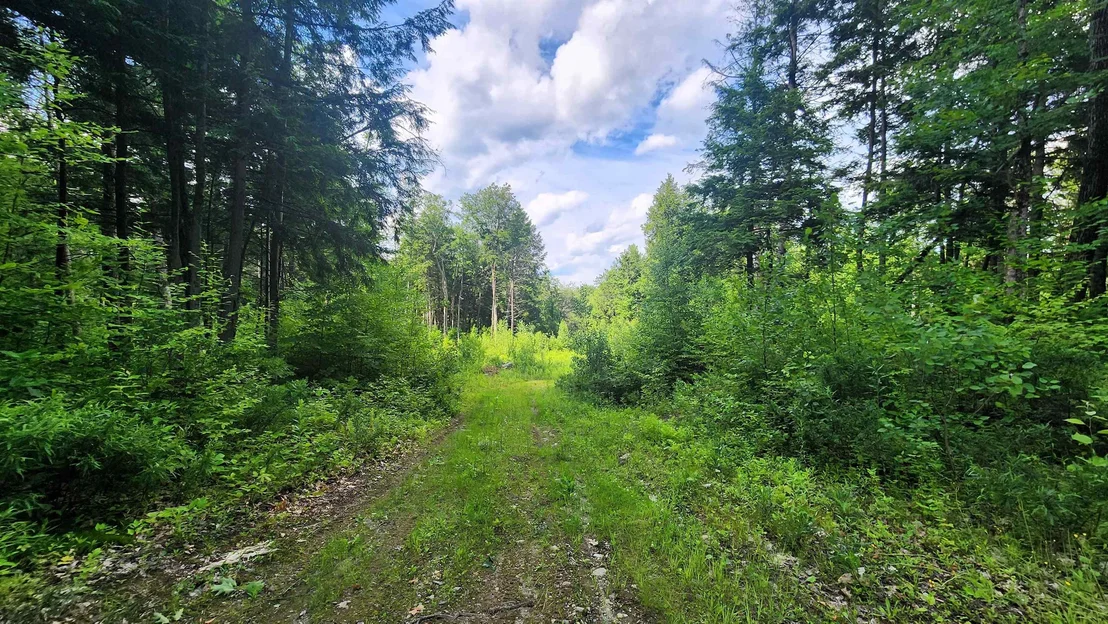 Photo of 0 Spencer Hollow