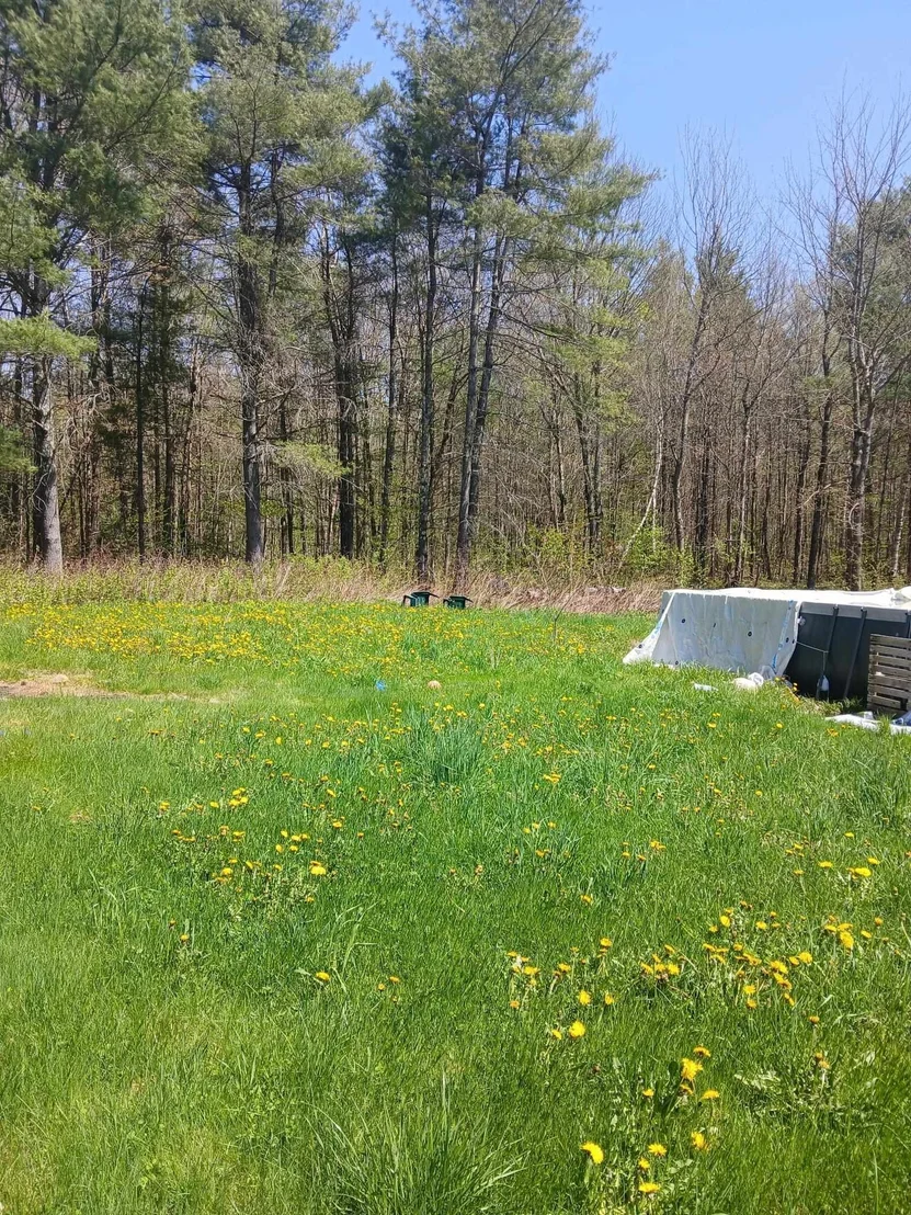 Photo of 207 Marlow Hill