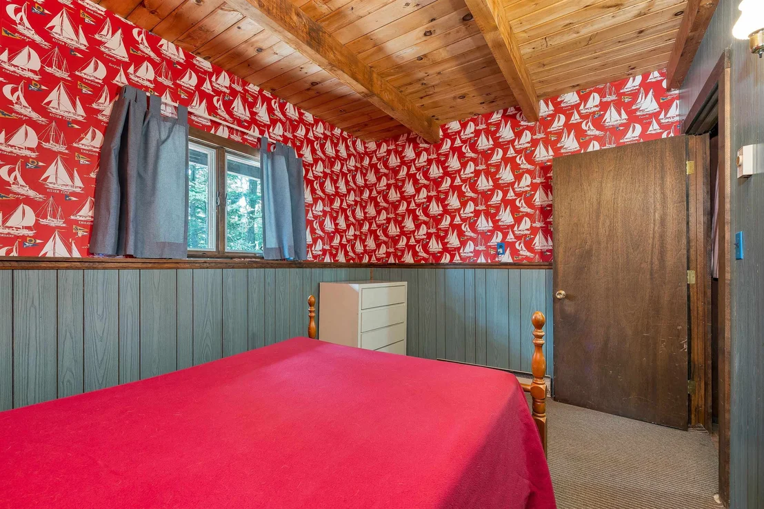 Photo of 49 Kings Pine