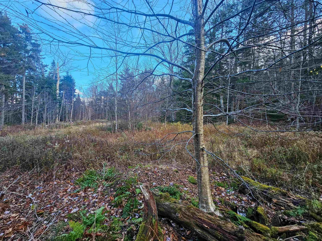 Photo of 706 VT Route 100