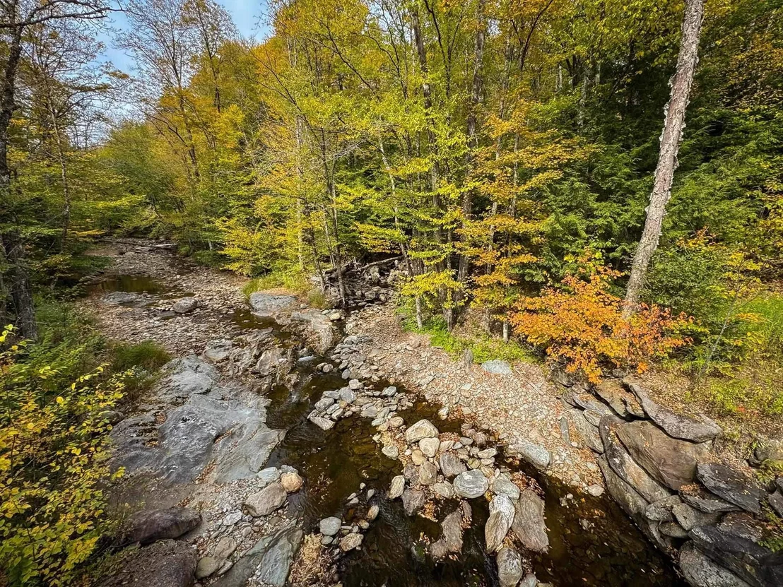 Photo of 2565 Bingo Brook