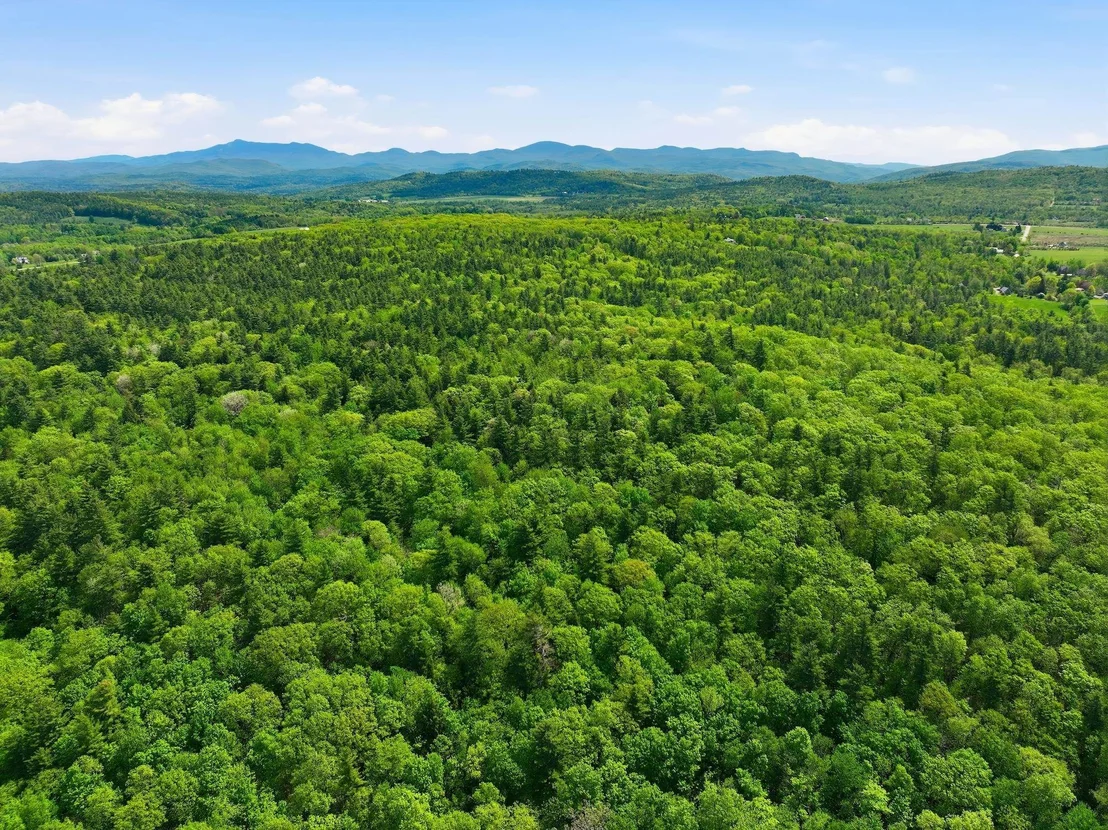Photo of 189 Shagbark