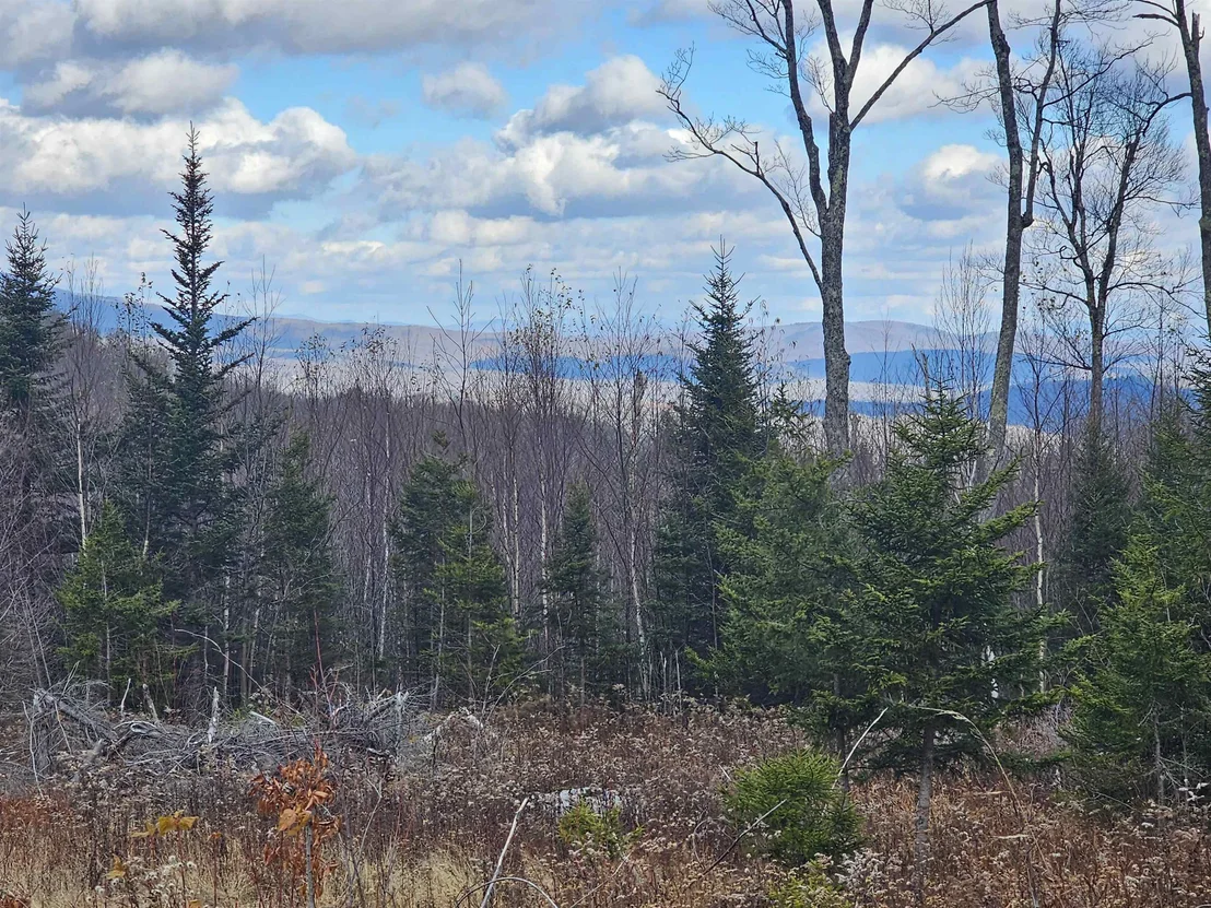 Photo of 706 VT Route 100