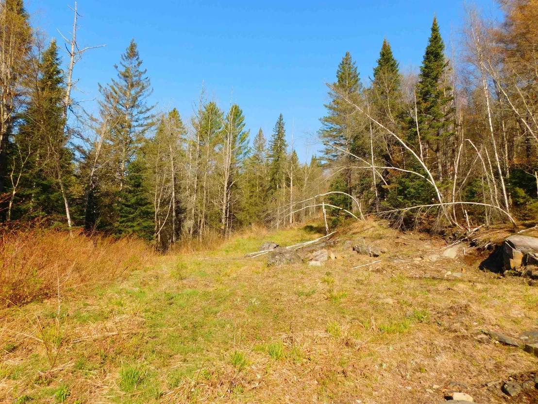 Photo of 0 Piper Hill